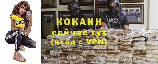 сатива Ростов