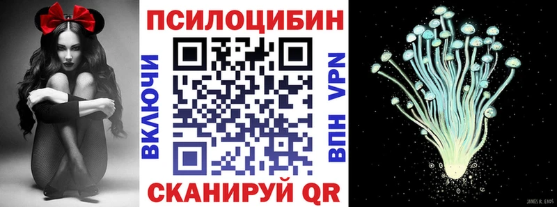 Галлюциногенные грибы Psilocybine cubensis  Баксан 